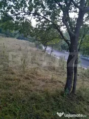 Teren 2.175 mp | Șesuri – Bucureșci | acces asfaltat, po