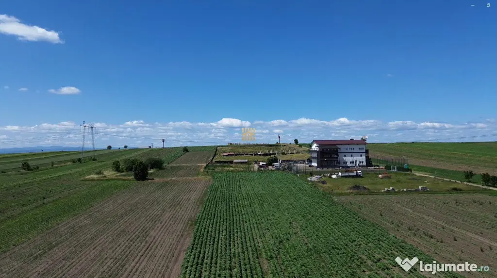 TEREN INTRAVILAN 36.977 MP DE V#194;NZARE E85, INTRAREA #20 - Suceava (Suceava)