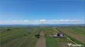 TEREN INTRAVILAN 36.977 MP DE V#194;NZARE E85, INTRAREA #20