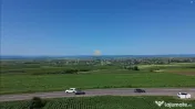 TEREN INTRAVILAN 36.977 MP DE V#194;NZARE E85, INTRAREA #20
