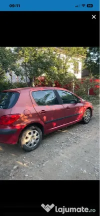 Autoturism Peugeot 307