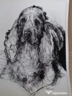 Desenez pictez portrete căței dupa fotografii comanda