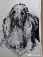 Desenez pictez portrete căței dupa fotografii comanda
