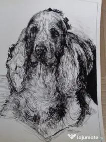 Desenez pictez vand portrete căței dupa fotografii comanda