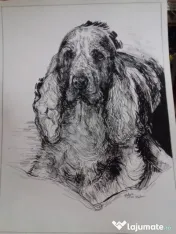 Desenez pictez portrete căței dupa fotografii comanda