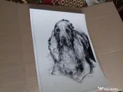 Desenez pictez portrete căței dupa fotografii comanda