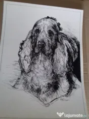 Desenez pictez portrete căței dupa fotografii comanda