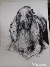 Desenez pictez portrete căței dupa fotografii comanda