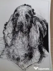 Desenez pictez portrete căței dupa fotografii comanda