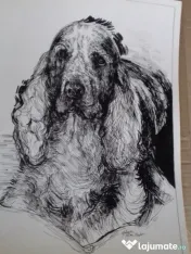 Desenez pictez portrete căței dupa fotografii comanda