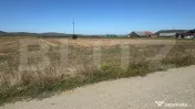 Teren intravilan de 2.250 mp de vânzare în Chintelnic