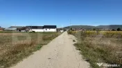 Teren intravilan de 2.250 mp de vânzare în Chintelnic