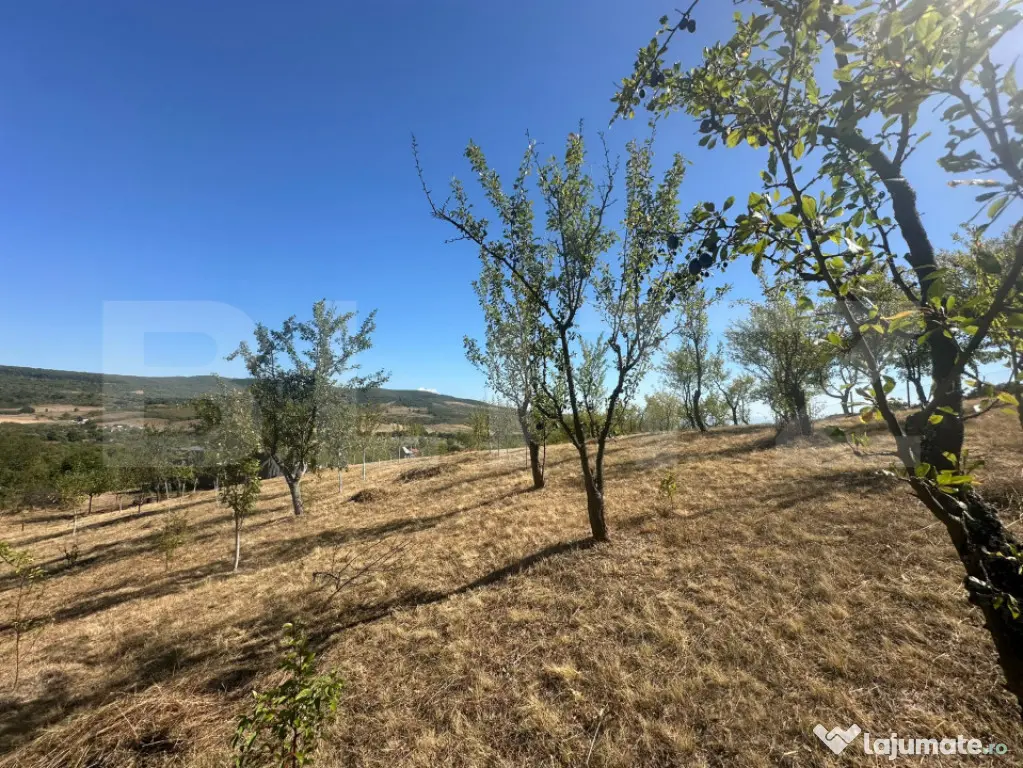 Căsuță de weekend cu livadă de 3.000 mp – Bărsău, 10 - Barsau (Hunedoara)