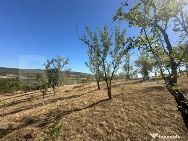 Căsuță de weekend cu livadă de 3.000 mp – Bărsău, 10 - Barsau (Hunedoara)