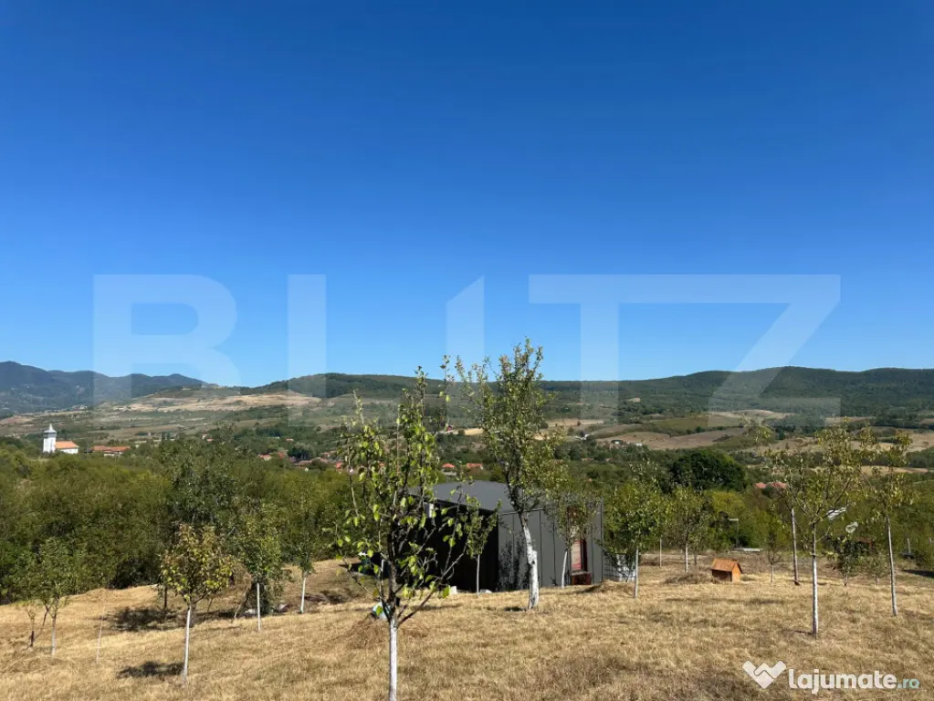 Căsuță de weekend cu livadă de 3.000 mp – Bărsău, 10 - Barsau (Hunedoara)