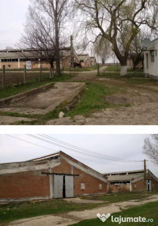 Ferma zootehnica,agro-industrial multifunctional,53736mp ter - Valea Stanciului (Dolj)