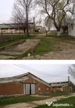 Ferma zootehnica, agro-industrial, 53736 mp teren, Valea Sta