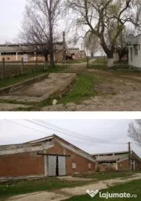 Ferma zootehnica,agro-industrial multifunctional,53736mp ter 