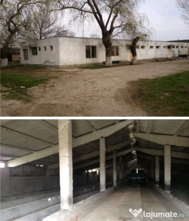 Ferma zootehnica,agro-industrial multifunctional,53736mp ter - Valea Stanciului (Dolj)