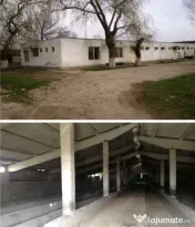 Ferma zootehnica,agro-industrial multifunctional,53736mp ter 