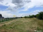 TEREN INTRAVILAN 1.374 MP | BRADU | POTENȚIAL INVESTIȚI...