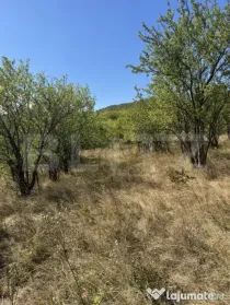 Teren intravilan de vanzare, 1.400 mp, zona Viile Noi