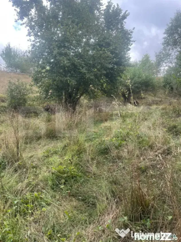 Teren intravilan, 1.180 mp, zona Pietroasa, com. Moldovenest - Pietroasa (Cluj)