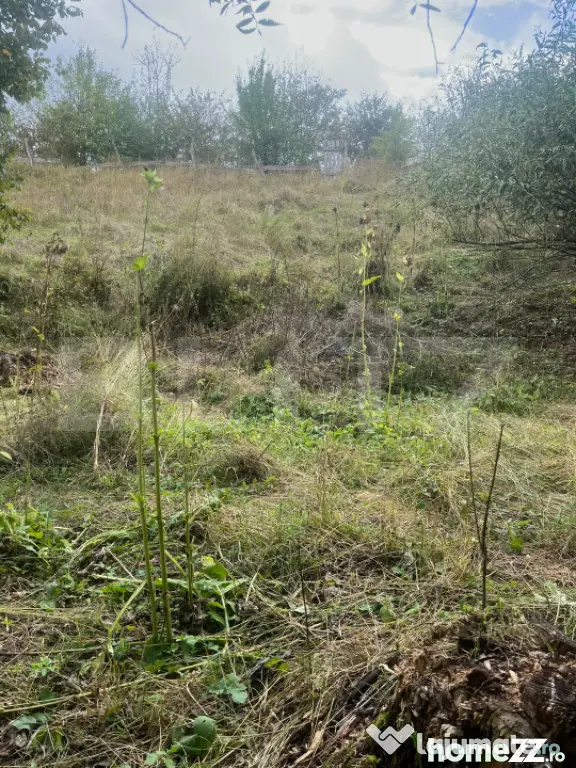 Teren intravilan, 1.180 mp, zona Pietroasa, com. Moldovenest - Pietroasa (Cluj)