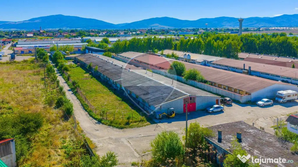 Hala Prejmer - Comision 0% - Prejmer (Brasov)