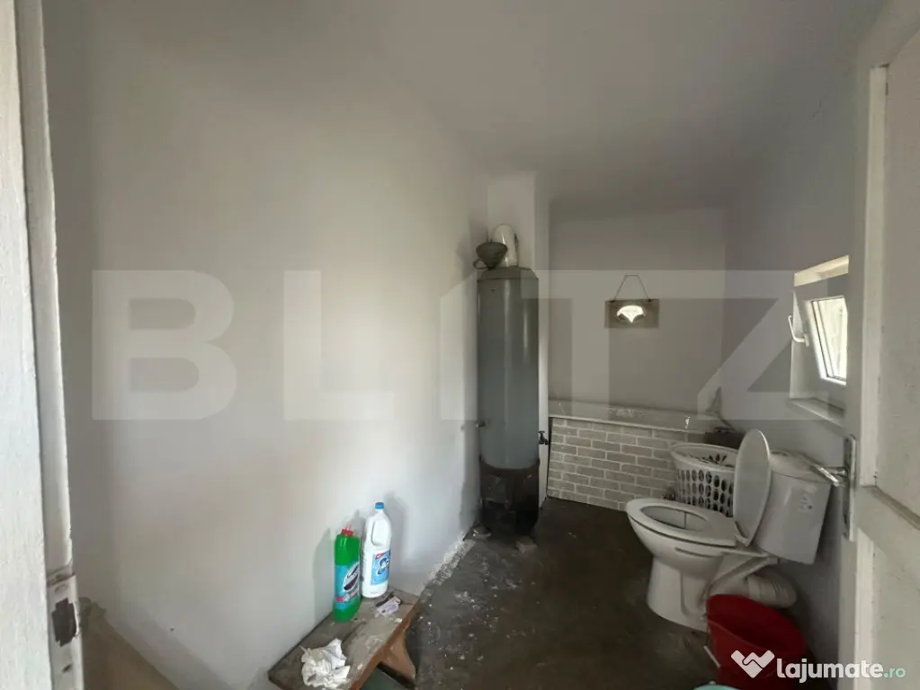 Branisca | Casa + 2717 mp intravilan | Proiect modernizare | - Branisca (Hunedoara)