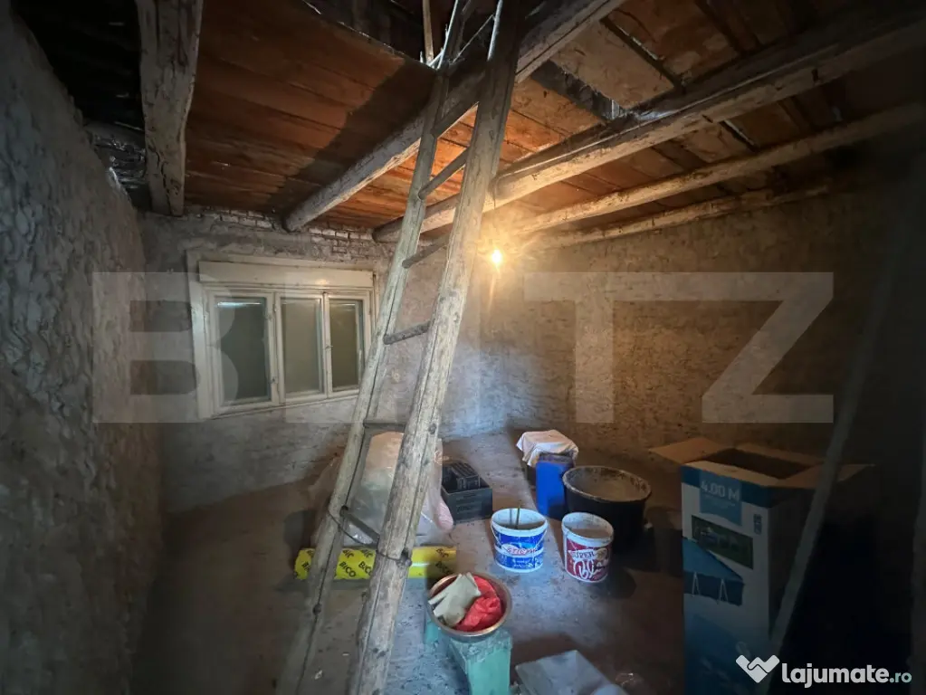 Branisca | Casa + 2717 mp intravilan | Proiect modernizare | - Branisca (Hunedoara)