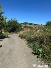 Teren intravilan Sanpetru Lempes str Dealului 