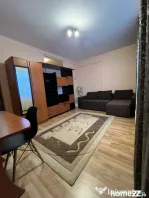 Inchiriere apartament 2 camere, bloc nou Gavana 3 - Pet frie
