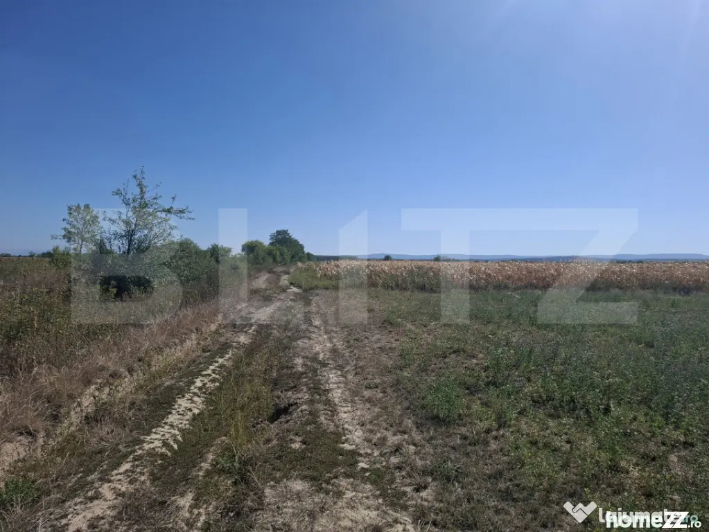 Teren intravilan in zona Mădăras,aproape de asfalt,3746mp - Madaras (Satu-Mare)