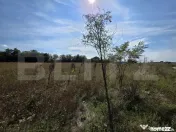 Vânzare teren 4 hectare