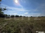 Vânzare teren 4 hectare