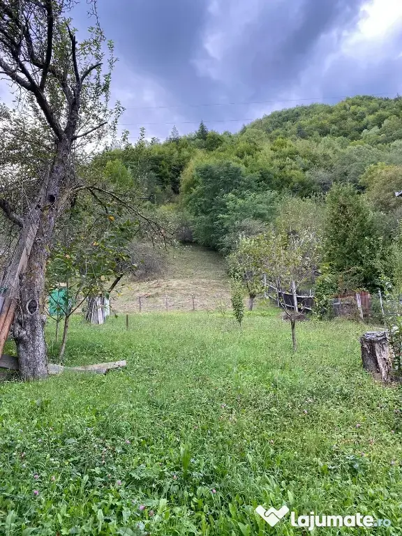 Vând teren Bicaz 1238mp intravilan si 333mp extravilan