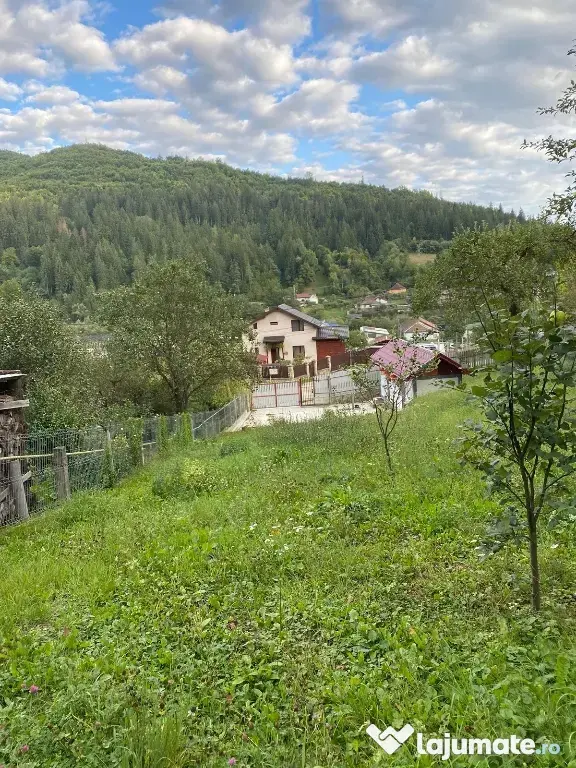 Vând teren Bicaz 1238mp intravilan si 333mp extravilan