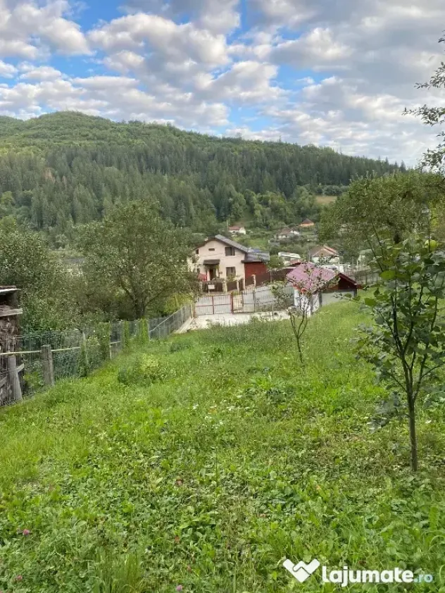Vând teren Bicaz 1238mp intravilan si 333mp extravilan