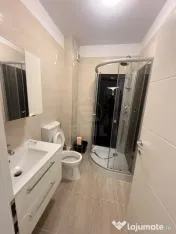 Inchiriere Apartament 2 camere semidecomandat, 55 mp, Sesu De Sus