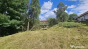 Teren intravilan | 4840 mp | Casă + Anexe | Utilități | Sohodol | Bran