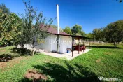 Proprietate deosebita cu doua case si teren generos – Cosesti, Arges