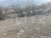 Teren intravilan 4300 mp apa si curent In Ampoita 