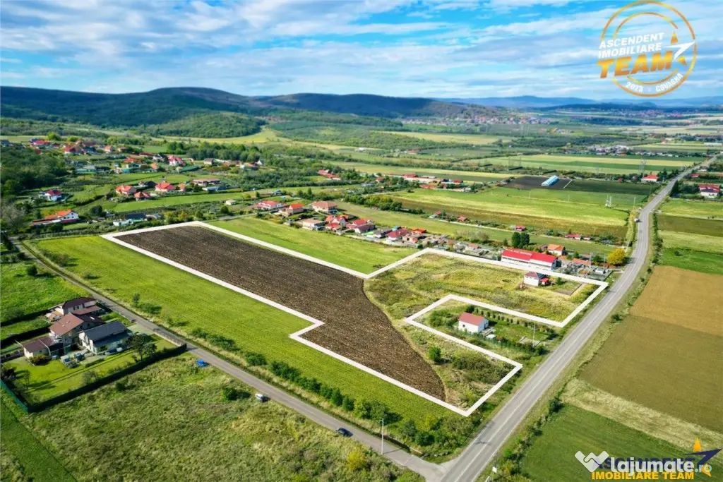 Proprietate remarcabila: 32.000mp teren, acces direct DJ112, - Sfantu Gheorghe (Covasna)
