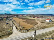 Proprietate remarcabila: 32.000mp teren, acces direct DJ112,