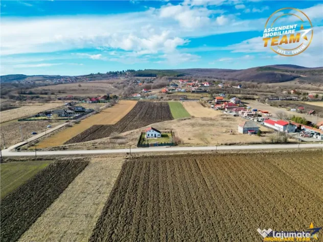 Proprietate remarcabila: 32.000mp teren, acces direct DJ112, - Sfantu Gheorghe (Covasna)