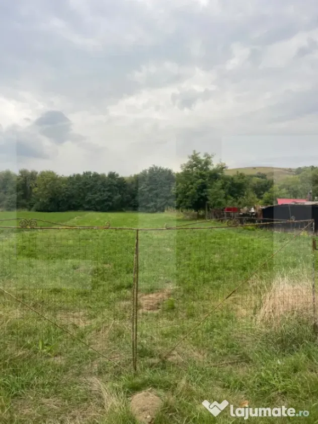 Oportunitate de investiție! Teren intravilan 2.600 mp în ? - Sendriceni (Botosani)