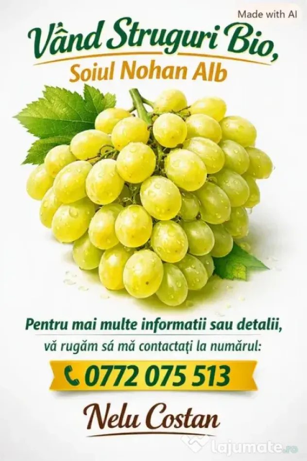 Struguri nohan alb căpșunică de vânzare