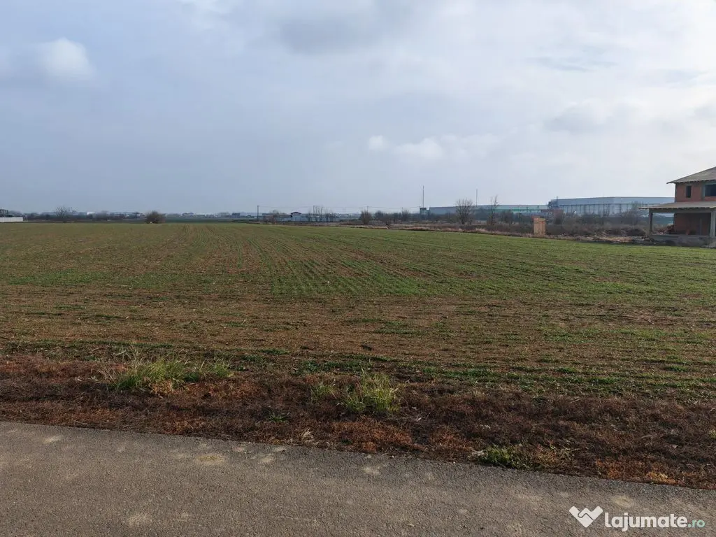 Dragomiresti Valea - Langa Centura, teren 15.600 mp, 28E/mp - Dragomiresti Vale (Bucuresti-Ilfov)