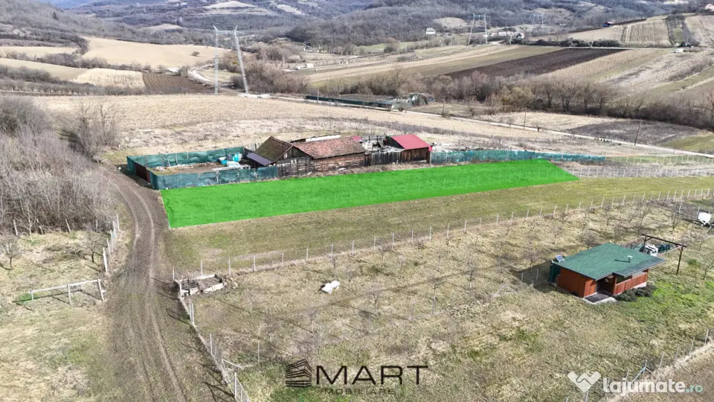 Teren intravilan 1000mp strada Salcamilor Gusterita - Sibiu (Sibiu)